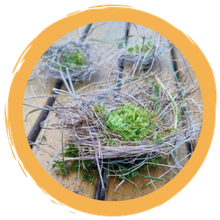 Nestbauzeit