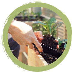 Erfolgreich Gärtnern