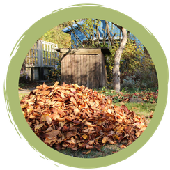 Gartentipps: Überwinterungshilfen für Tiere im Garten anlegen