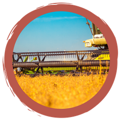 Landwirtschafts-Quiz