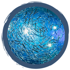 Wissenswertes über Fische