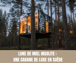 Lune de miel insolite : dormir dans une cabane de luxe perchée dans les arbres en Suède - Crédit photo : Tous droits réservés