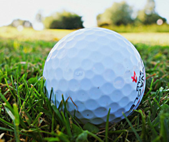 Zum Wohl die Pfalz, Schillerhain, Golfen