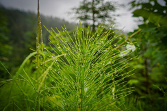 Pelzkurs, fell nähen lernen, workshop pelz, meinelt