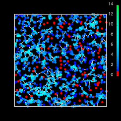 高分子のシミュレーションの様子