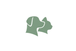 Symbolgrafik für zukünftige naturheilkundliche Therapiemethoden in der Tierheilkunde.