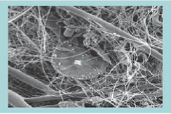Média filtrant fibres de verre / diatomées