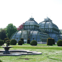 Фото: Пальмовая оранжерея( Palmenhaus) -в Шенбрунне( Schönbrunn) -Вена. Австрия