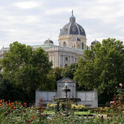 Парк роз Фото Вена Австрия Volksgarten