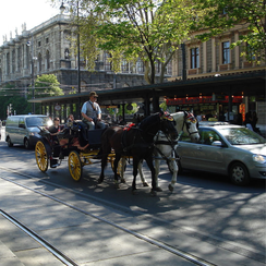 Рингштрасе( Ringstraße) Фото-Ринг( Ring)Фото -Вена. Австрия