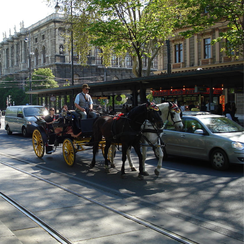 Экскурсия по Вене на автомобиле - Рингштрасе( Ringstraße) Фото-Ринг( Ring)Фото -Вена. Австрия