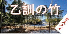 乙訓の竹