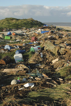 Müll am Strand von Scharhörn.