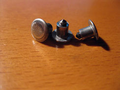 Spikes; Foto: Fuchs