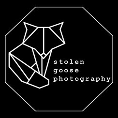 Bild: stolen goose photography Blogarchiv