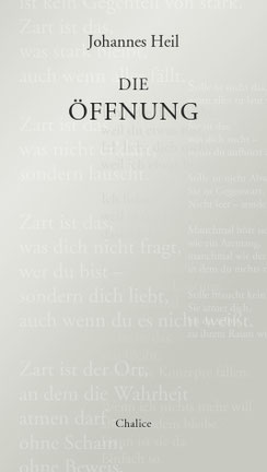 Das Bild zeigt das Cover von "Die Öffnung".