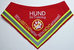 Hund im Training, Angsthund, Halstuch