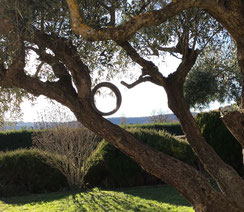 Dans le jardin de Joëlle Swanet, un cercle en céramique dans les branches : un bijou pour un arbre