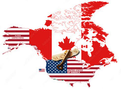 Expand into North America - Rectangle