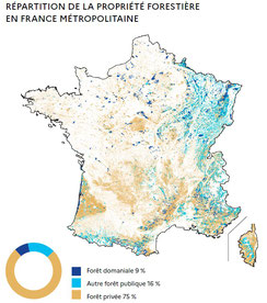 L'état de la forêt en France, avec la répartition de la propriété publique/privée.