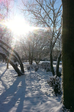 Winter im Günthersburgpark