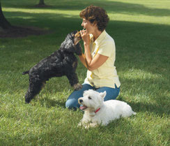 Keep your pet safe with a Pet Stop® brand of Invisible Fence.