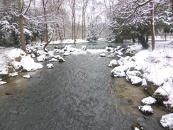 Foto: Heidrun Langer - Englischer Garten