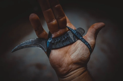 Criminalité au couteau en Australie #2