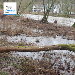 Hochwasser an der Agger - hier ist noch Raum für Überschwemmungen (CW)