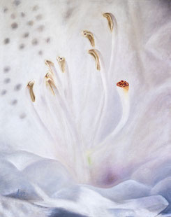 Sandra Gygax Fotografie & Kunst