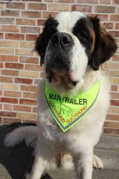Tolles Halstuch für Mantrailerhunde in neongelb. Text:Mantrailer Suchhunde. Das Tuch hat einen Reflektor.