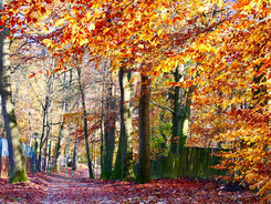 Tiergarten Neustrelitz