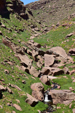 Habitat ripicole, Djebel Oukaïmeden, Haut Atlas central, 2018, ©Frédérique Courtin-Tarrier  
