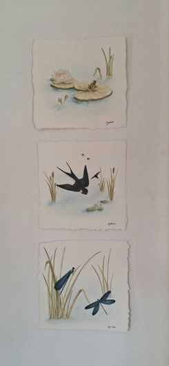 illustration aquarelle libellule demoiselles bleu hirondelle rustique grenouille verte nénuphare marre eau ruisseau eyha peinture