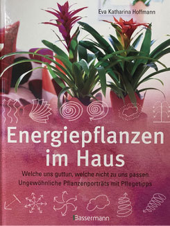 Holen Sie sich mit Pflanzen, die positive Energie im Haus. Welche Energiepflanzen tun uns gut und welche nicht zu uns passen.