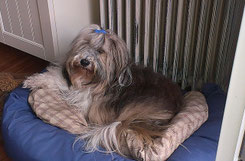 Milka am 28.08.2013