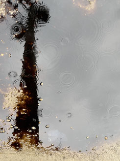 「恵の雨」