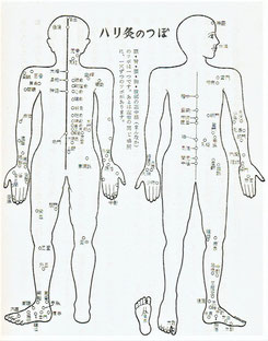 ハリ灸のつぼ