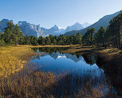 Chaltenbrunner Hochmoor