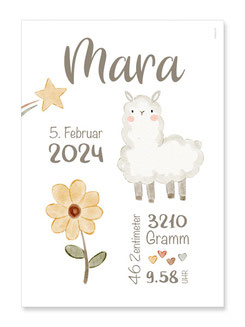 Geburtsposter Schaf