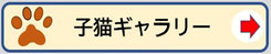子猫ギャラリー｜リンク案内画像
