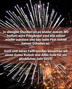 31.12.2024