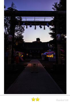 くまのすけさん: 三社祭