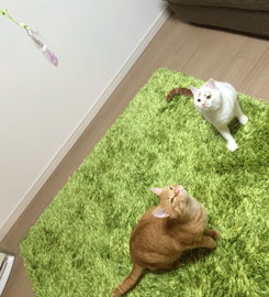 ソラ＆ビビちゃん♪