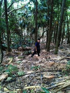 Yuna Kim in field research site Cabbage Tree Island