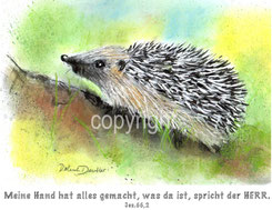 Igel