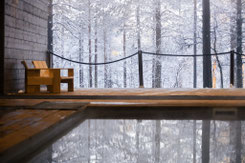 Schwimmbad im Hotel Galdu mit verschneitem Wald im Hintergrund