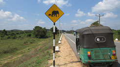 Sri Lanka on the road