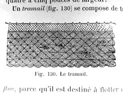 Le tramail - extrait des Animaux et mammifères marins - XIXème siècle