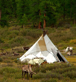 Tipi traditionnel pays Tsaatan